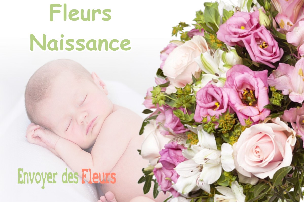 lIVRAISON FLEURS NAISSANCE à GASTES